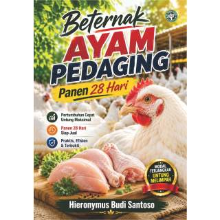 Beternak Ayam Pedaging: Panen 28 Hari