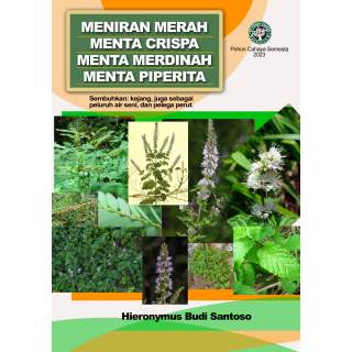 Meniran merah, Menta crispa, Menta merdinah, Menta piperita