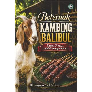 Beternak Kambing Balibul: Panen 5 bulan setelah penggemukan