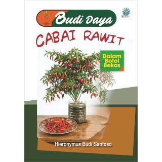 Budidaya cabai rawit dalam botol bekas